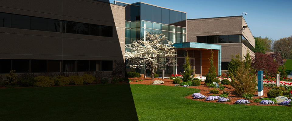 Hemlock Landscapers