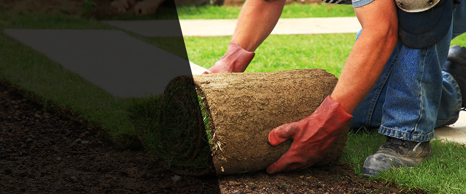 Hemlock Landscapers